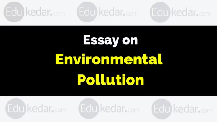 essay on environmental pollution