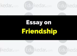 Essay on Friendship essay on friendship