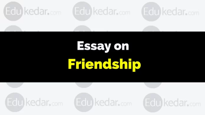 essay on friendship