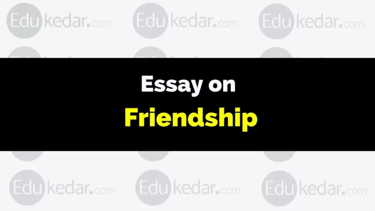 Essay on Friendship