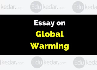 Essay on Global Warming essay on global warming