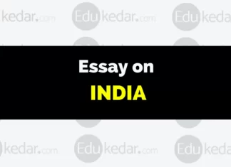 Essay on India essay on india
