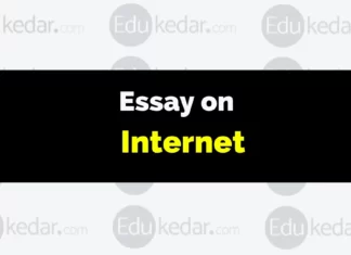 Essay on Internet essay on internet
