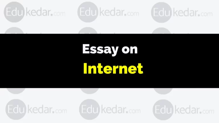 Essay on Internet