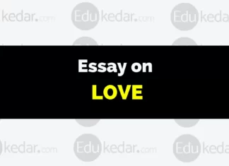 Essay on Love essay on love