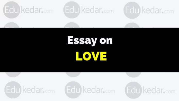 essay on love
