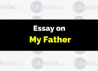 Essay on My Father essay on my father