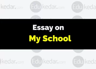 Essay on My School essay on my school