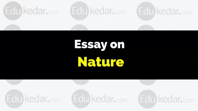 essay on nature