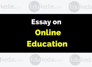Essay on Online Education essay on online education