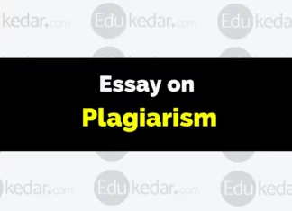 Essay on Plagiarism essay on plagiarism