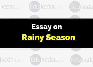 Essay on Rainy Season essay on rainy season