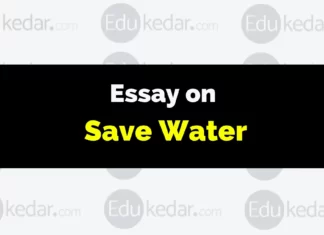 Essay on Water essay on save water
