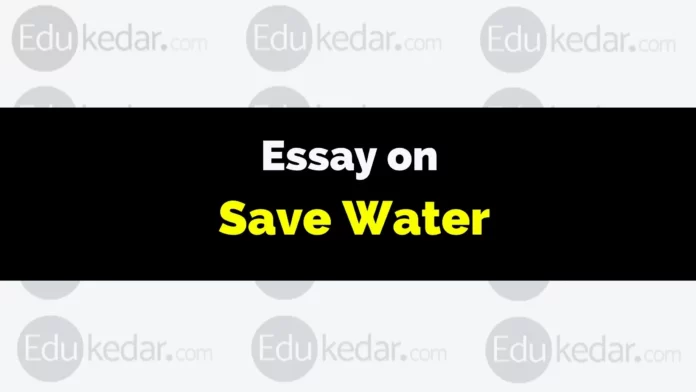 essay on save water
