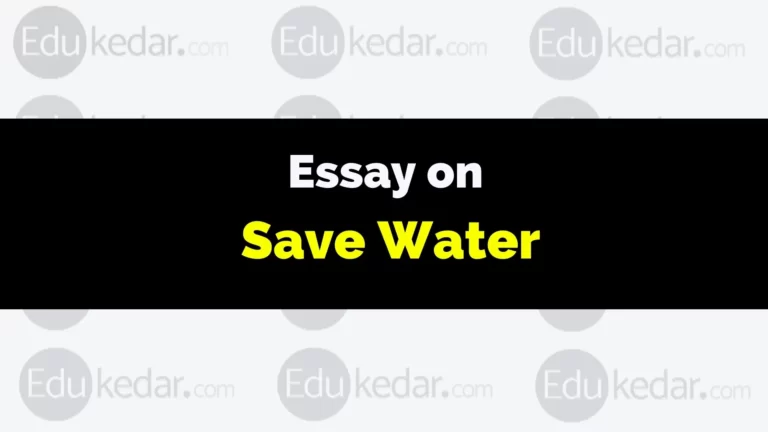 Essay on Save Water