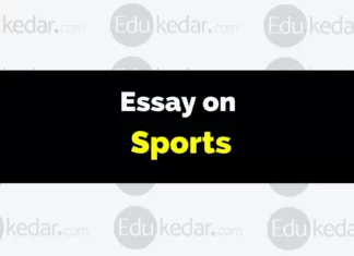 Essay on Sports essay on sports