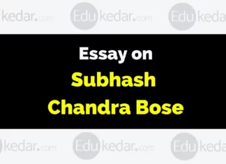 Essay on Subhash Chandra Bose essay on subhash chandra bose
