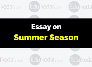 Essay on Summer Season essay on summer season