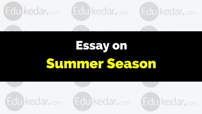 essay on summer season
