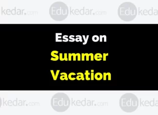 Essay on Summer Vacation essay on summer vacation