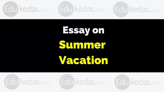 essay on summer vacation