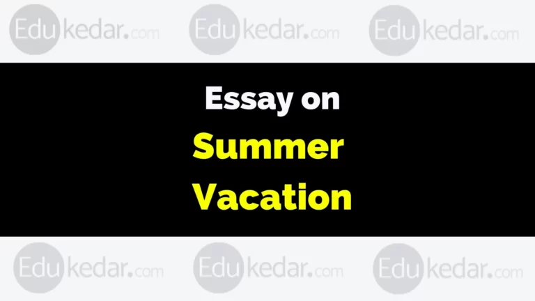 Essay on Summer Vacation