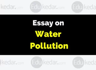 Essay on Water Pollution essay on water pollution