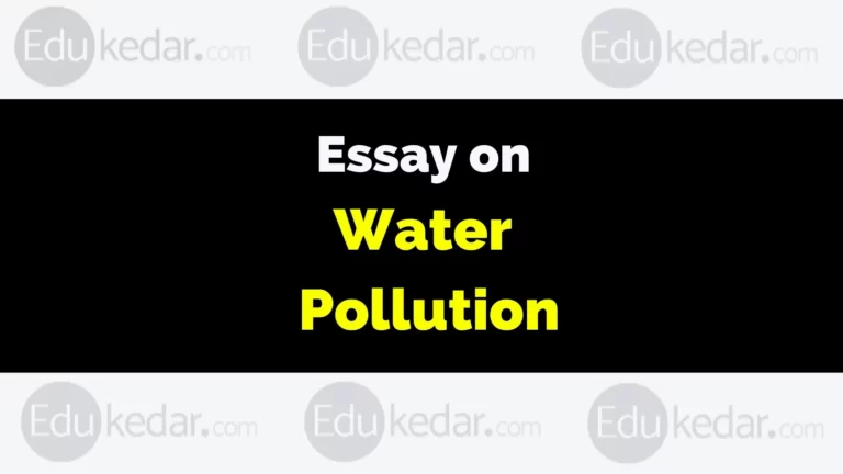 Essay on Water Pollution