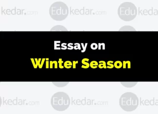 Essay on Winter Season essay on winter season