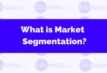 What is Market Segmentation? What is Market Segmentation