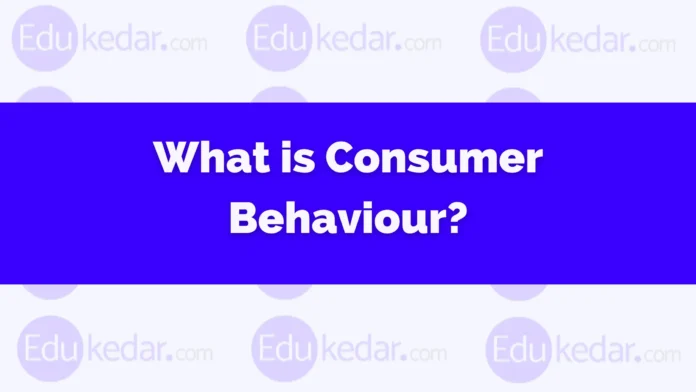 What is Consumer Behaviour What is Consumer Behaviour